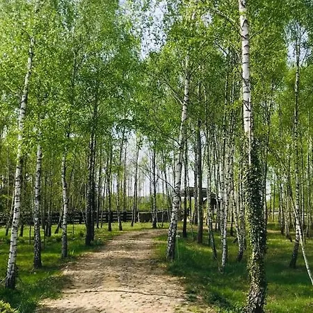 Domek W Drzewach - Lesnem3 * Zdzar